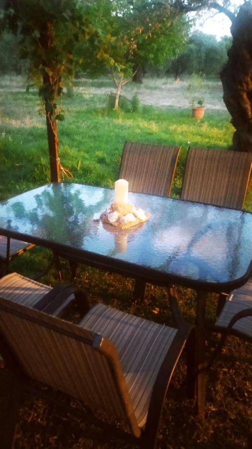 Villa Thomi Skala Rachoni  Ngoại thất bức ảnh